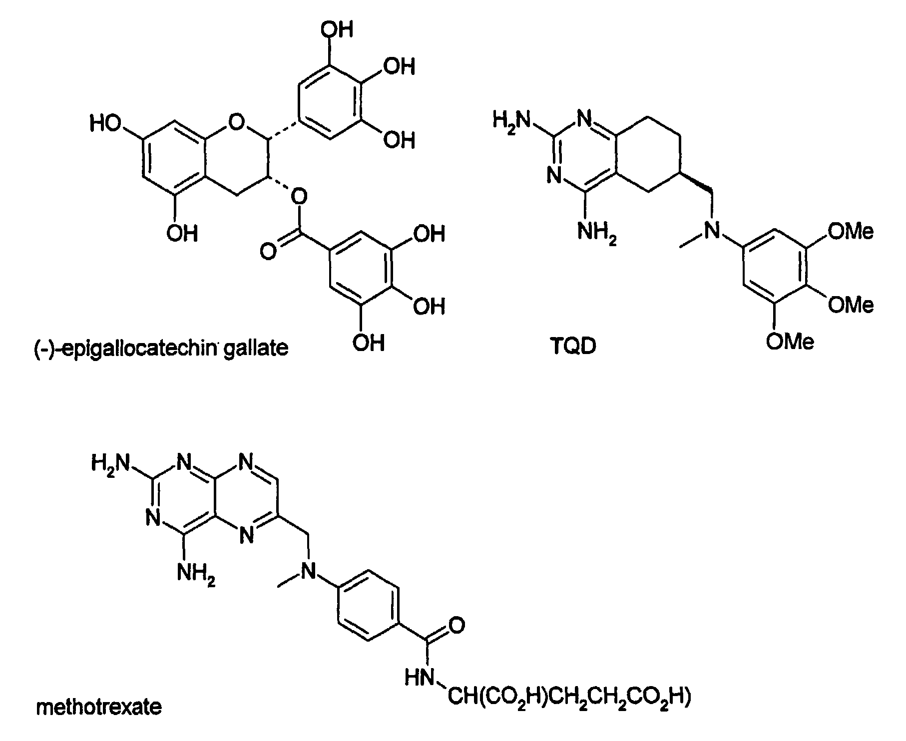 Dihydrofolate reductase inhibition by epigallocatechin gallate compounds