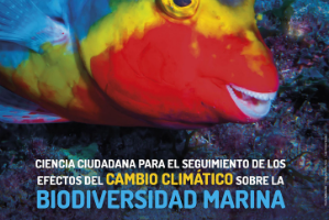 La UMU presenta los resultados de un proyecto que constata los efectos del cambio climático sobre la biodiversidad marina