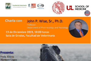 Ballenas y salud ambiental en una conferencia de la Universidad de Murcia