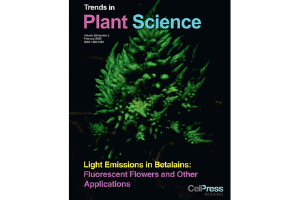 La UMU analiza las aplicaciones biotecnológicas de la fluorescencia en pigmentos vegetales