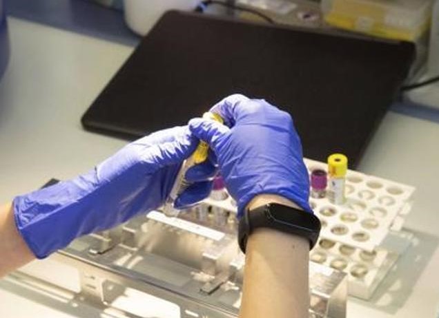 Método in vitro y kit para evaluar la inmunidad celular