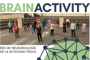 Segunda reunión Brain Activity: la red de neurobiología de la actividad física coordinada por un investigador de la UMU