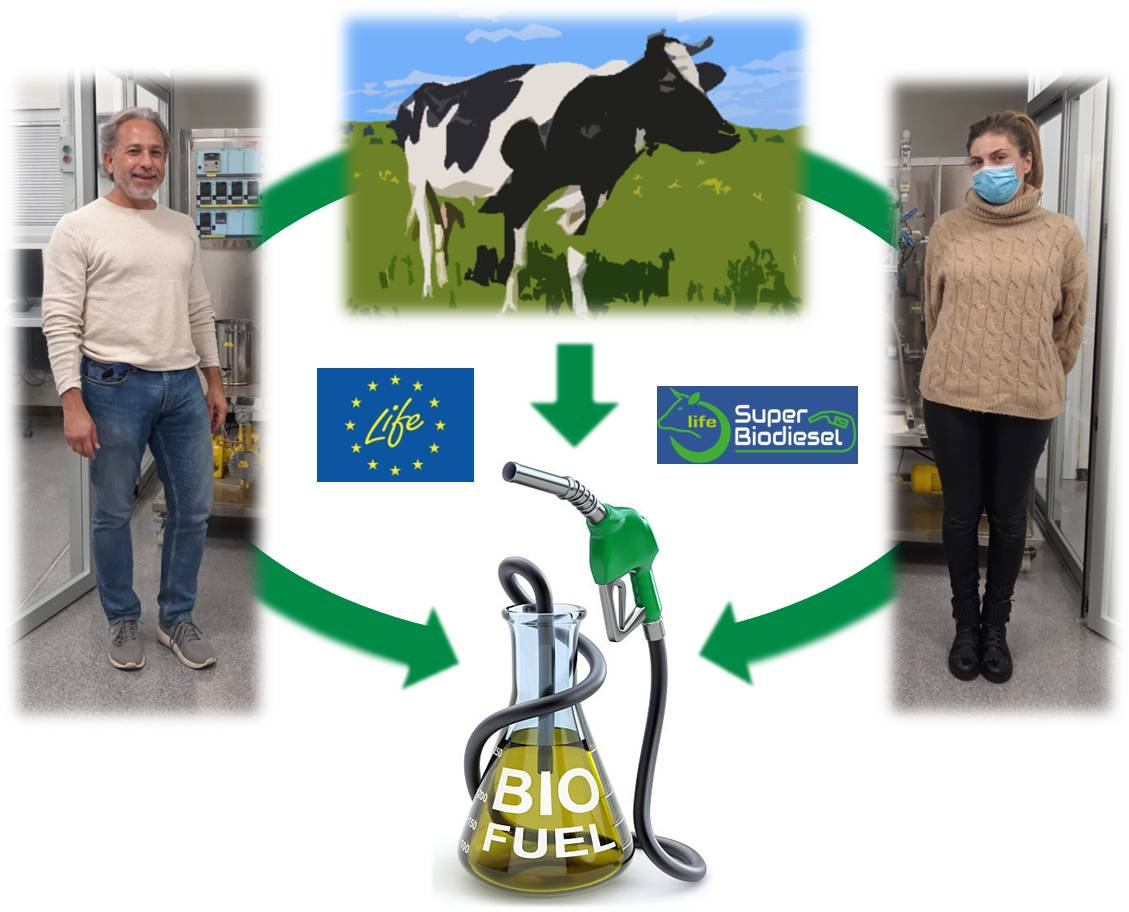 La UMU participa en la producción de un nuevo biodiesel mejorado a partir de subproductos animales