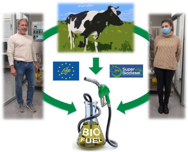 La UMU participa en la producción de un nuevo biodiesel mejorado a partir de subproductos animales