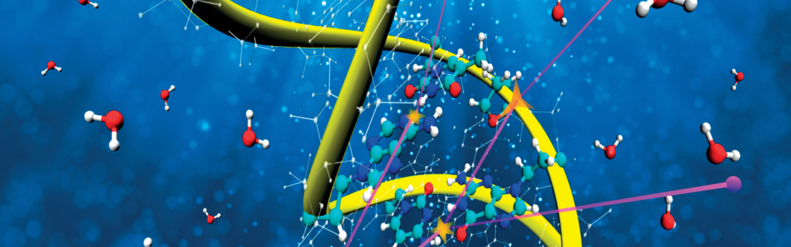 La UMU desarrolla modelos físicos más precisos para describir el dañado del ADN durante terapias contra el cáncer