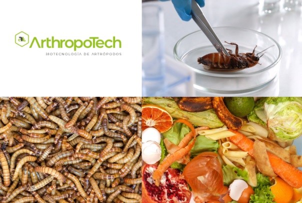 Nace de la UMU la empresa Arthropotech, especializada en la cría de insectos para alimentación y la investigación para el control de plagas y de especies invasoras