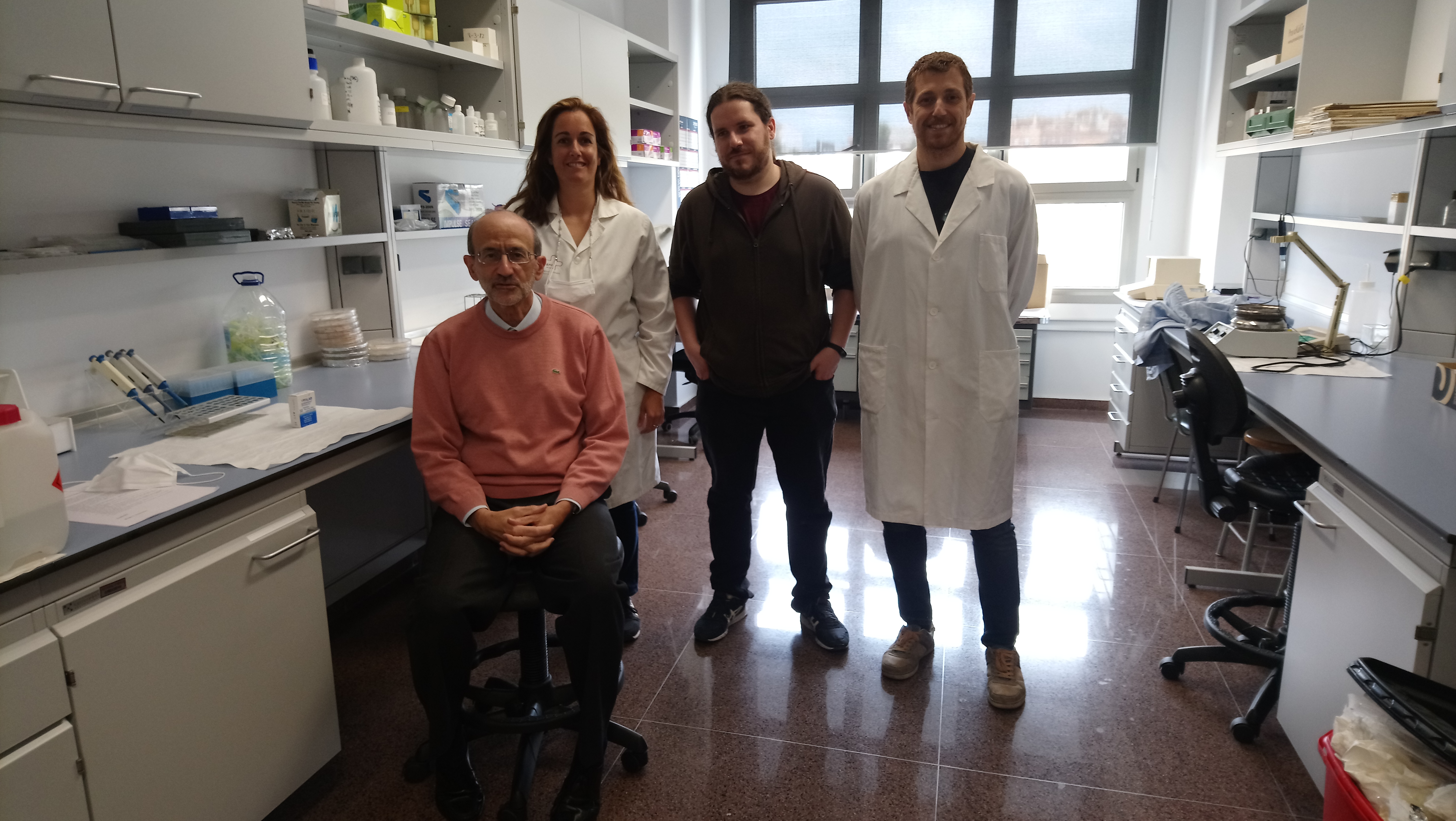 Investigadores de la UMU y el IMIB descubren que las células de Sertoli, de gran importancia en la reproducción, son capaces de renovarse