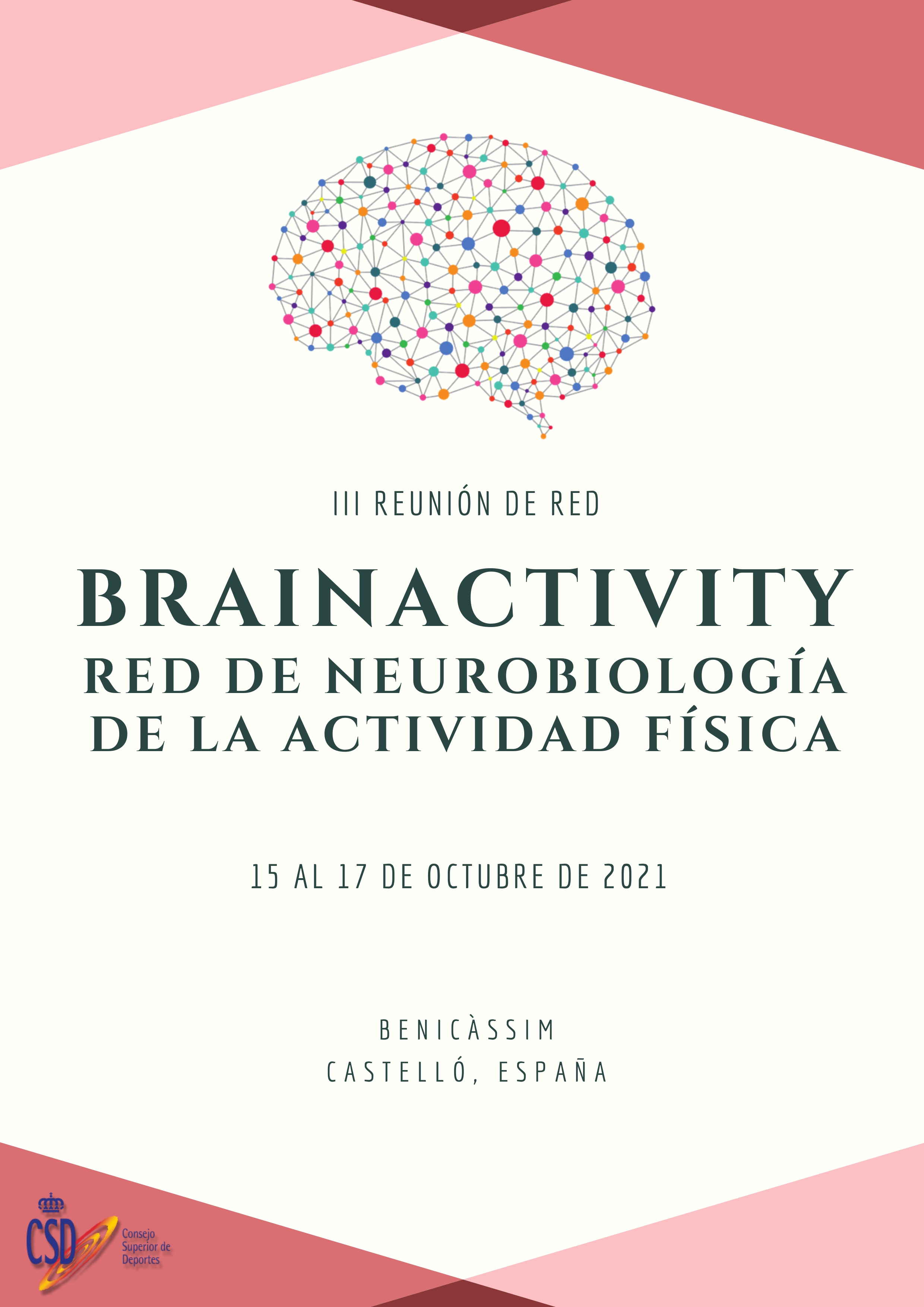 Avances en el proyecto BRAINACTIVITY para comprender cómo funciona el cerebro en respuesta a la actividad física
