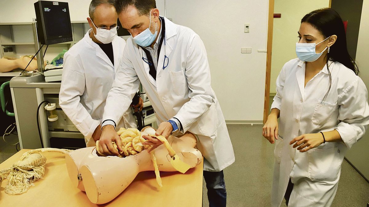 Investigadores de la UMU imprimen órganos 3D para prácticas sanitarias