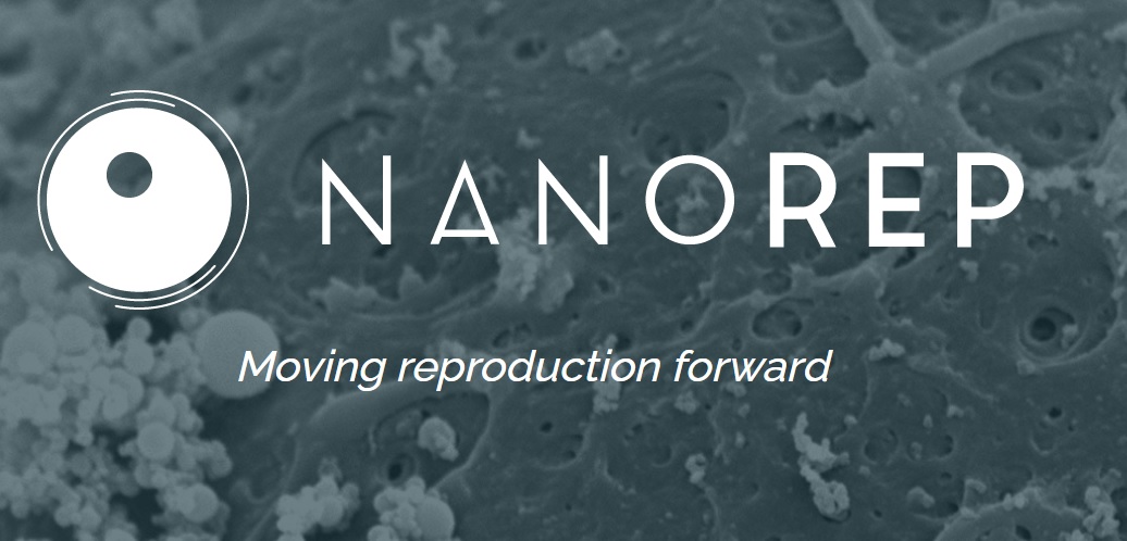 NanoRep