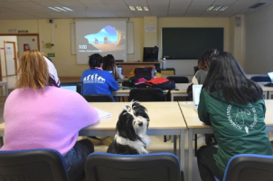 Los alumnos de la Facultad de Veterinaria de la UMU pueden asistir a las aulas acompañados de sus mascotas