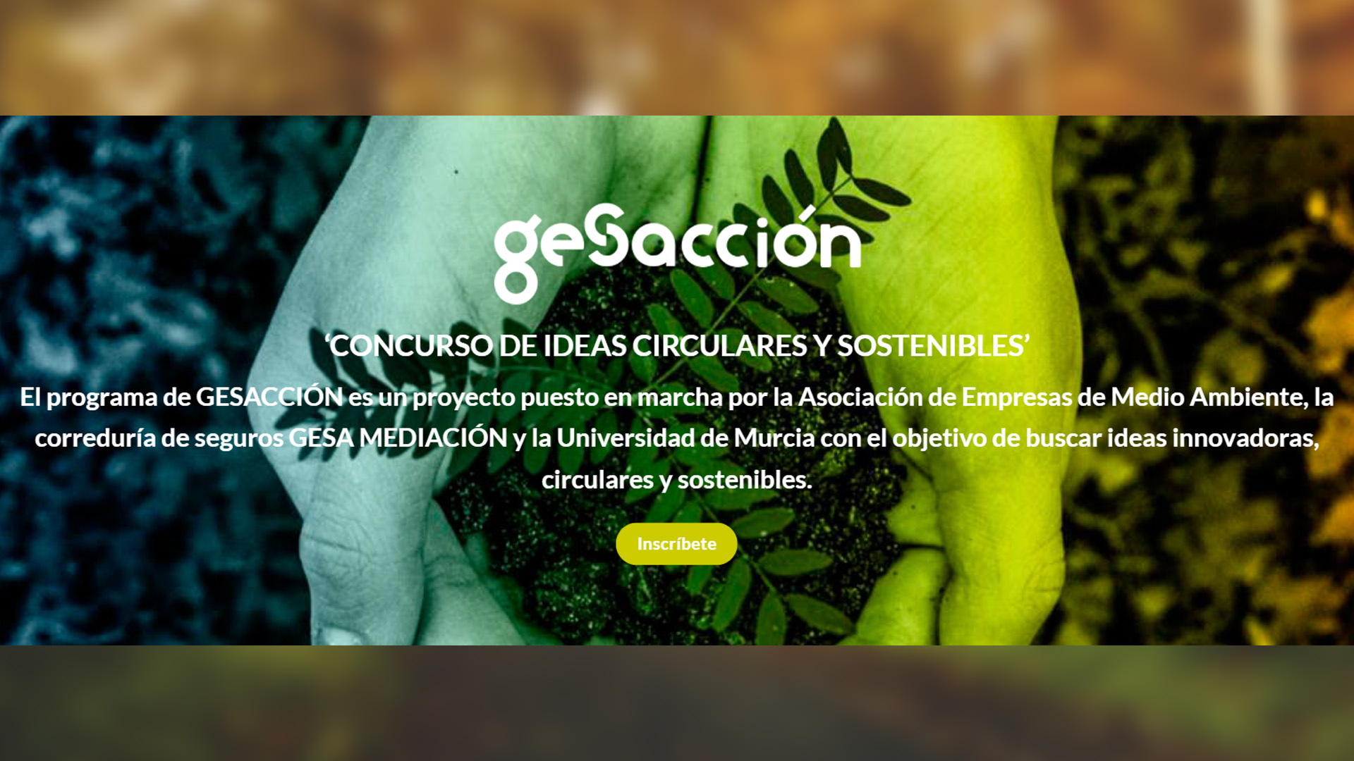 GESACCIÓN, el programa que emprendedores con ideas sostenibles