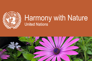 Undécimo Diálogo Interactivo de la Asamblea General sobre Armonía con la Naturaleza