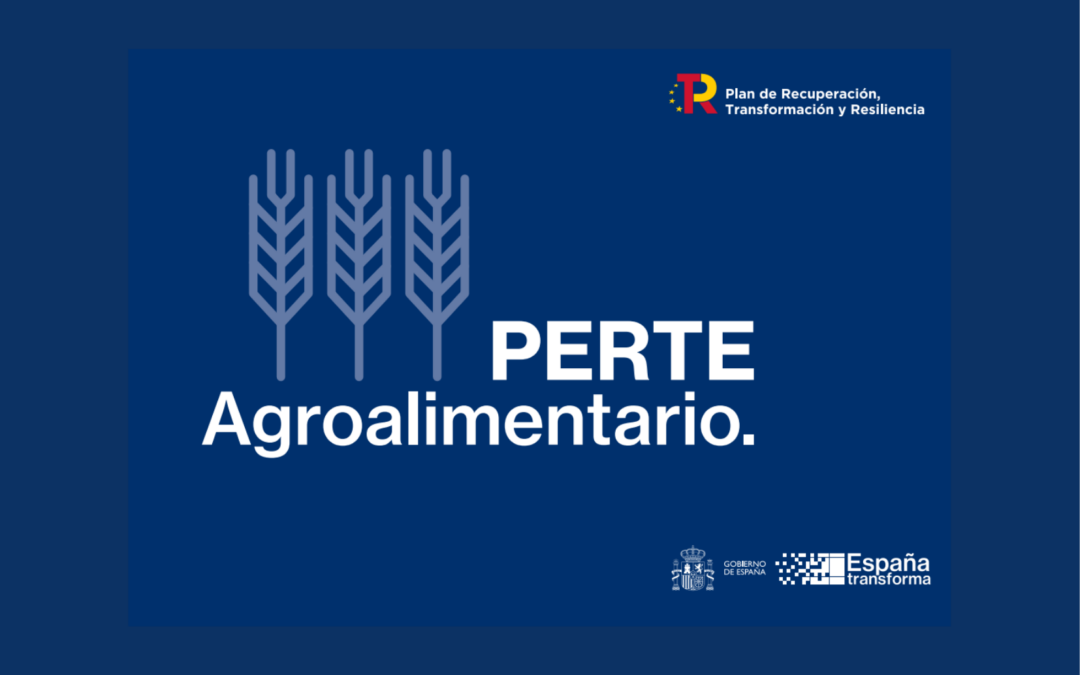 Ayudas a actuaciones de fortalecimiento industrial del sector agroalimentario. Convocatoria 2023