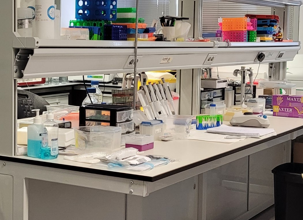 La UMU pone en marcha un laboratorio avanzado centrado en análisis de saliva