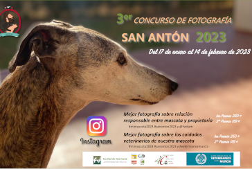 3er Concurso de fotografía San Antón 2023