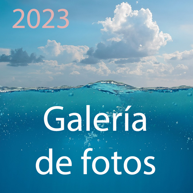 Galería Fotográfica 2023