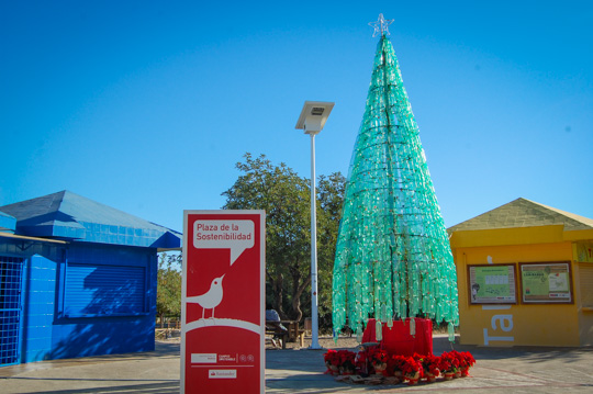 La Universidad de Murcia construye un árbol de Navidad con botellas de plástico