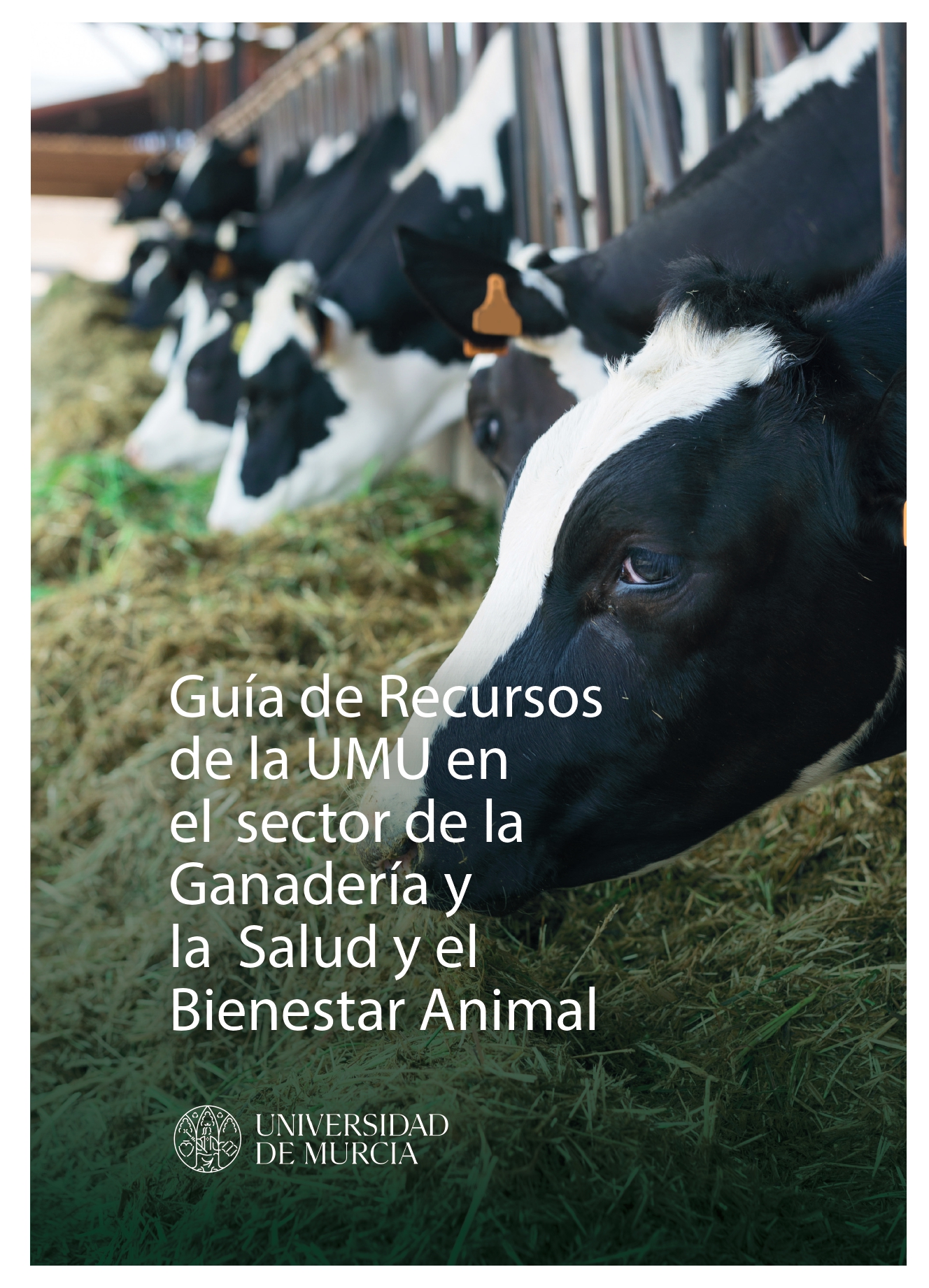 Guía de recursos sector ganadería y salud y bienestar animal