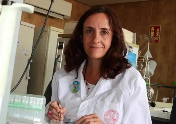 La catedrática Pilar de la Rúa lidera una investigación de la UMU acerca de la afección de sustancias vertidas en el campo sobre los polinizadores