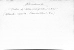 Ficha escaneada con el texto para la entrada alamayna ( 12 de 21 ) 