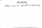 Ficha escaneada con el texto para la entrada almofalla ( 3 de 7 ) 