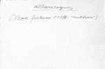 Ficha escaneada con el texto para la entrada albaricoque ( 10 de 11 ) 