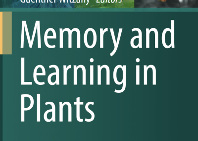 General issues in the cognitive analysis of plant learning and intelligence