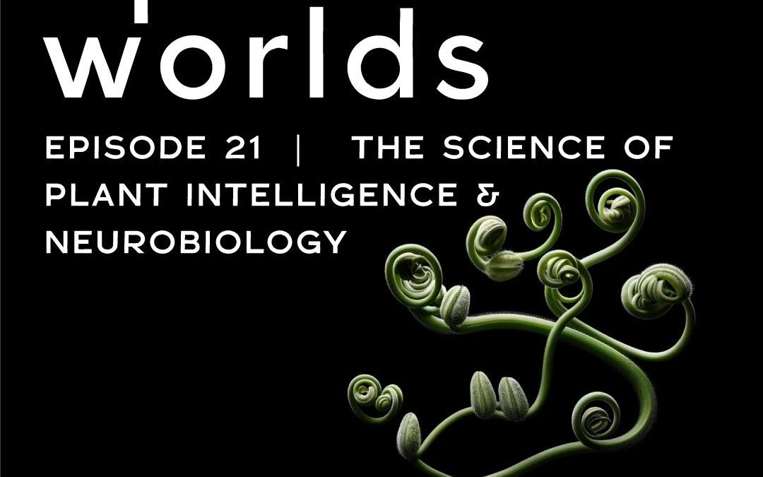 The Science of Plant Intelligence & Neurobiology
