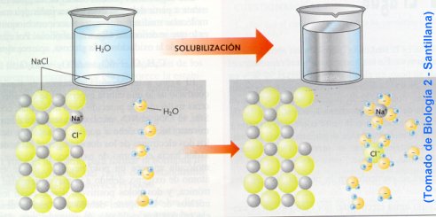 singles de agua salada caracteristicas quimicas y quimicas