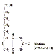 Vitamina b7 pdf