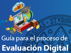 Guía de proceso evaluación digital