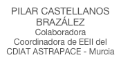 PILAR CASTELLANOS BRAZÁLEZ
Colaboradora
Coordinadora de EEII del CDIAT ASTRAPACE - Murcia