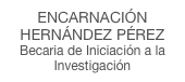 ENCARNACIÓN
HERNÁNDEZ PÉREZ
Becaria de Iniciación a la  Investigación