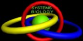 1st< International Symposium on System Biology
